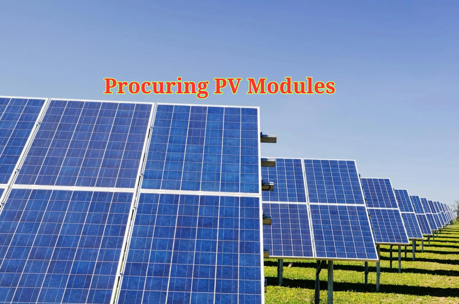 Procuring PV Modules
